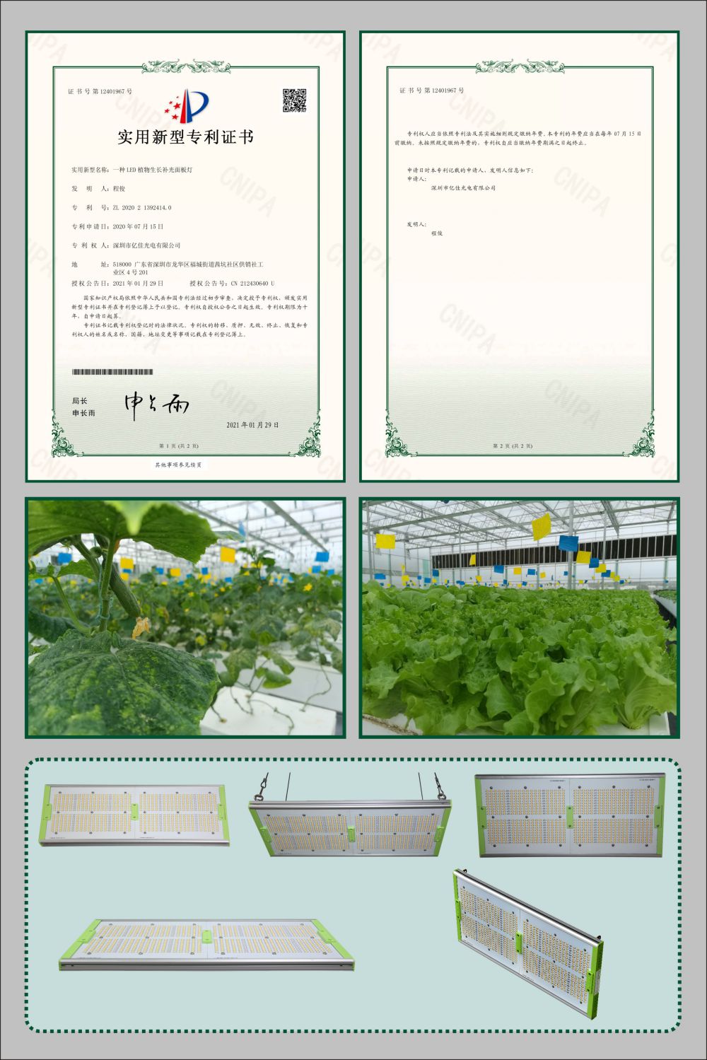 贝斯特植物成长面板灯实用新型专利
